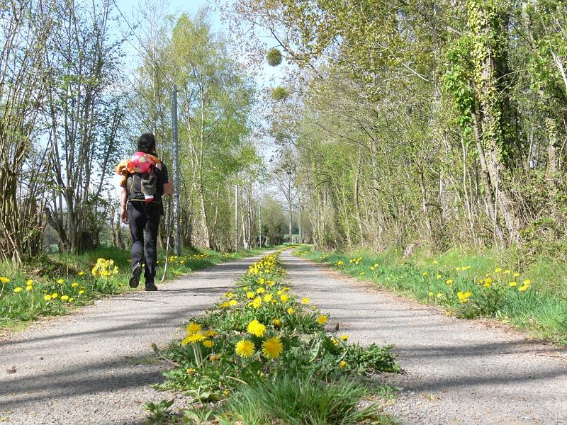Mont Saint Michel 2010 - 192.jpg